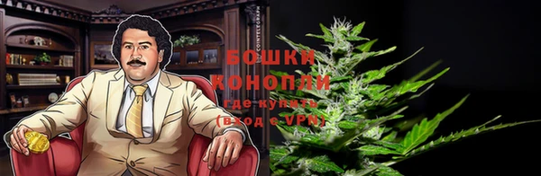 ALPHA PVP Инсар