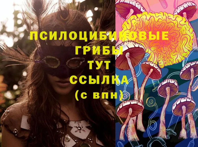 Галлюциногенные грибы MAGIC MUSHROOMS  Нюрба 